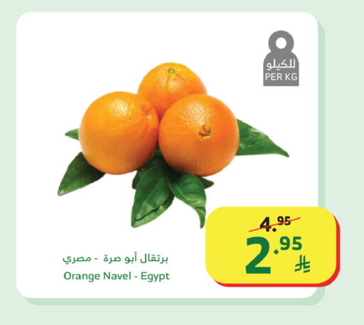 Orange from Egypt available at الراية in مملكة العربية السعودية, السعودية, سعودية - أبها
