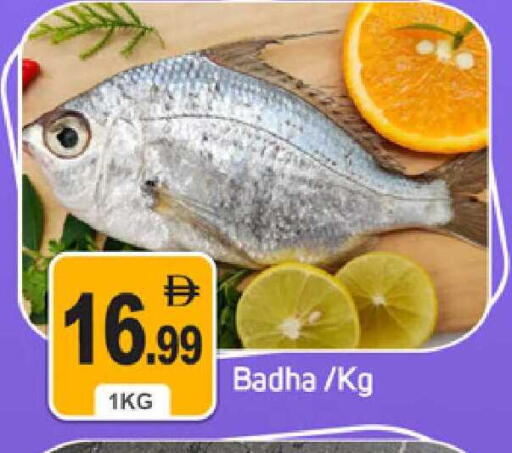 available at سوق طلال in الإمارات العربية المتحدة , الامارات - دبي