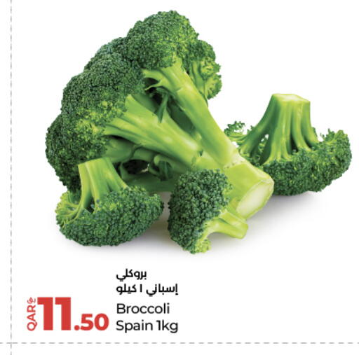 Broccoli from Spain available at لولو هايبرماركت in قطر - الخور