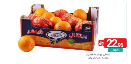 Orange available at Muntazah Markets in KSA, Saudi Arabia, Saudi - Saihat