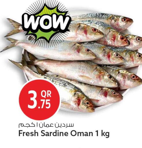 available at سفاري هايبر ماركت in قطر - أم صلال