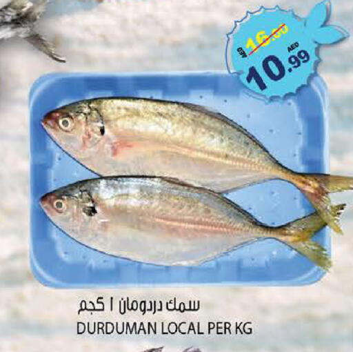 available at هاشم هايبرماركت in الإمارات العربية المتحدة , الامارات - الشارقة / عجمان