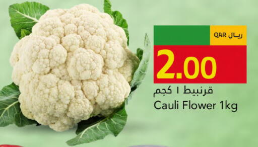 available at جلف فود سنتر in قطر - الريان