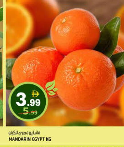 Mandarin from Egypt available at Hashim Hypermarket in UAE - Sharjah / Ajman
