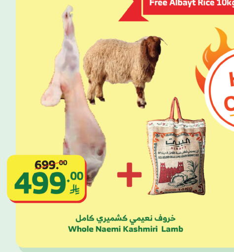 available at Al Raya in KSA, Saudi Arabia, Saudi - Bishah
