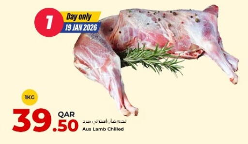 available at روابي هايبرماركت in قطر - الضعاين