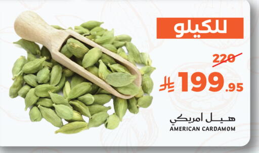 Cardamom available at ميرا مارت مول in مملكة العربية السعودية, السعودية, سعودية - جدة