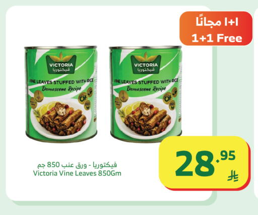 available at Al Raya in KSA, Saudi Arabia, Saudi - Medina