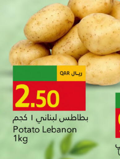 Potato from Lebanon available at جلف فود سنتر in قطر - الريان
