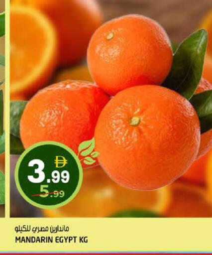 Mandarin from Egypt available at Hashim Hypermarket in UAE - Sharjah / Ajman