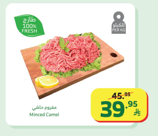 available at الراية in مملكة العربية السعودية, السعودية, سعودية - مكة المكرمة