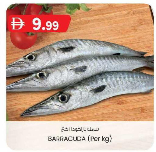 available at K.M Hypermarket in UAE - Al Ain