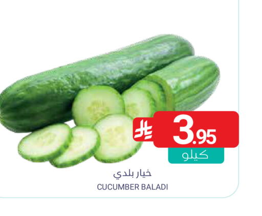 Cucumber available at اسواق المنتزه in مملكة العربية السعودية, السعودية, سعودية - المنطقة الشرقية
