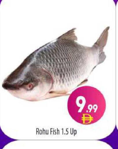 available at BIGmart in UAE - Abu Dhabi