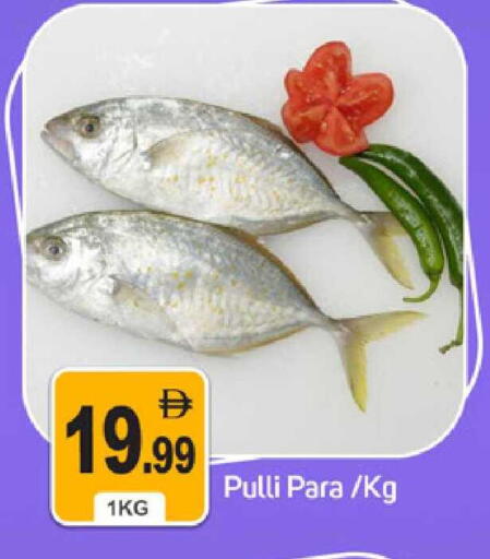 available at TALAL MARKET in UAE - Dubai