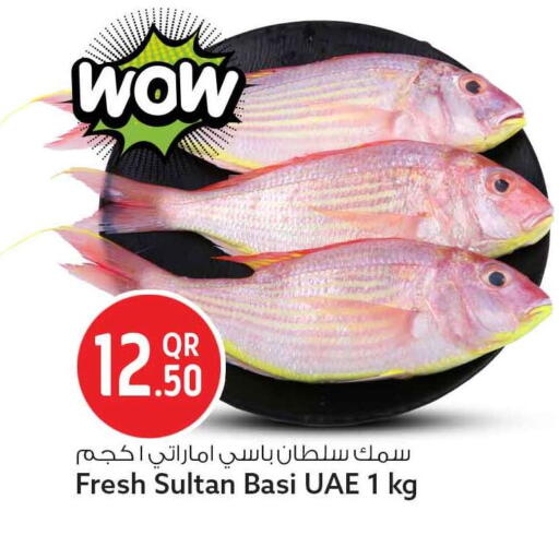 available at سفاري هايبر ماركت in قطر - الريان