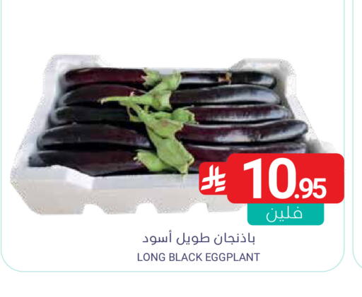 Eggplant available at Muntazah Markets in KSA, Saudi Arabia, Saudi - Saihat