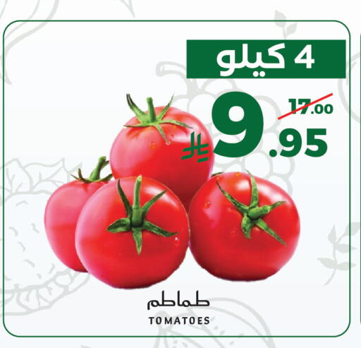 Tomato available at Mira Mart Mall in KSA, Saudi Arabia, Saudi - Jeddah