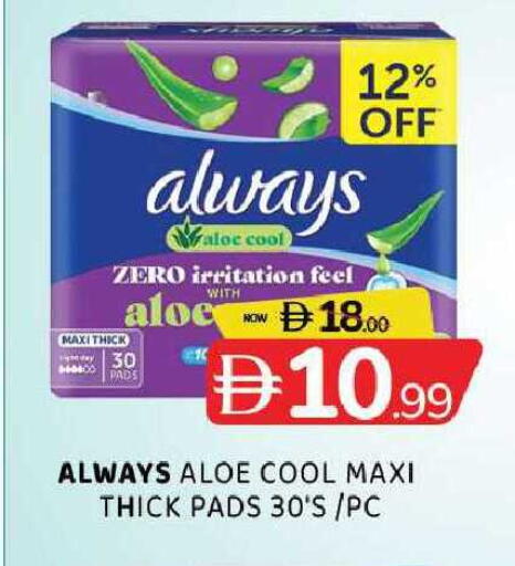 available at المدينة in الإمارات العربية المتحدة , الامارات - الشارقة / عجمان