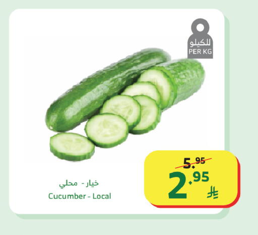 Cucumber available at Al Raya in KSA, Saudi Arabia, Saudi - Khamis Mushait