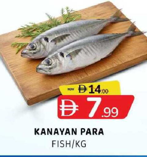 available at Al Madina  in UAE - Sharjah / Ajman