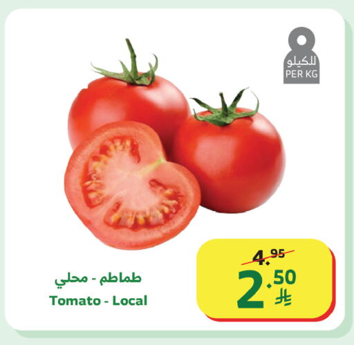 Tomato available at الراية in مملكة العربية السعودية, السعودية, سعودية - جازان