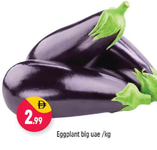 Eggplant available at شكلان ماركت in الإمارات العربية المتحدة , الامارات - دبي