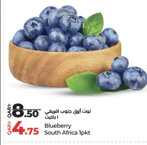 Blueberry BlueBerry from South Africa available at LuLu Hypermarket in Qatar - Al Shamal