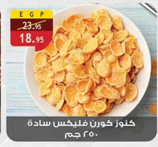 available at الرايه  ماركت in Egypt - القاهرة