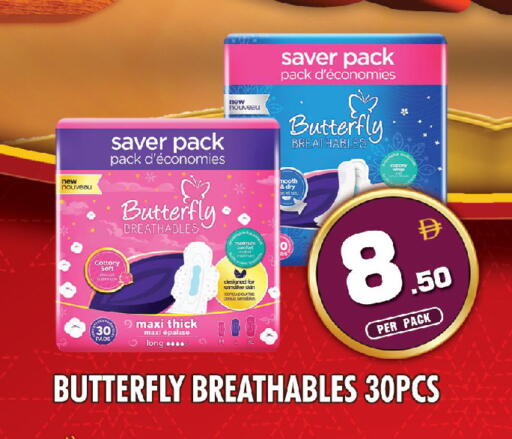 available at نايت تو نايت in الإمارات العربية المتحدة , الامارات - دبي