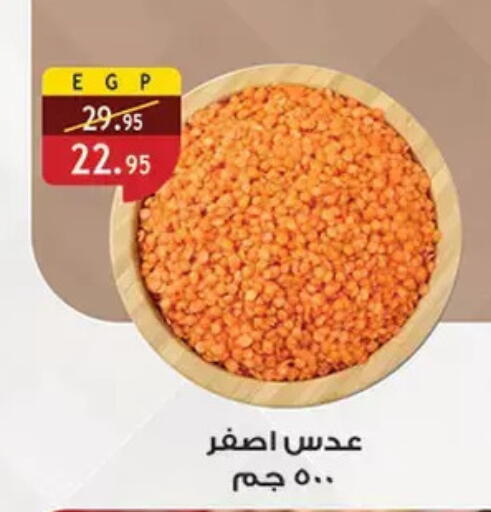 available at الرايه  ماركت in Egypt - القاهرة