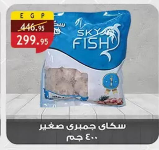 available at Al Rayah Market   in Egypt - Cairo