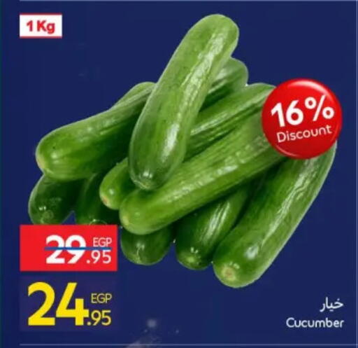 Cucumber available at Carrefour  in Egypt - Cairo