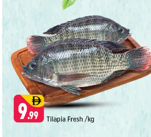 available at شكلان ماركت in الإمارات العربية المتحدة , الامارات - دبي