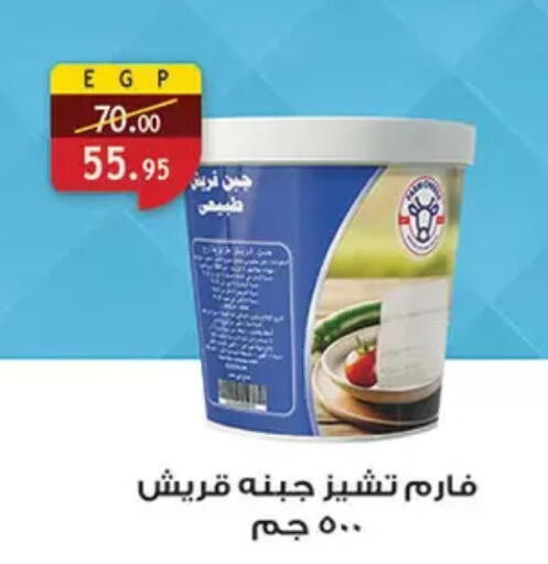 available at الرايه  ماركت in Egypt - القاهرة