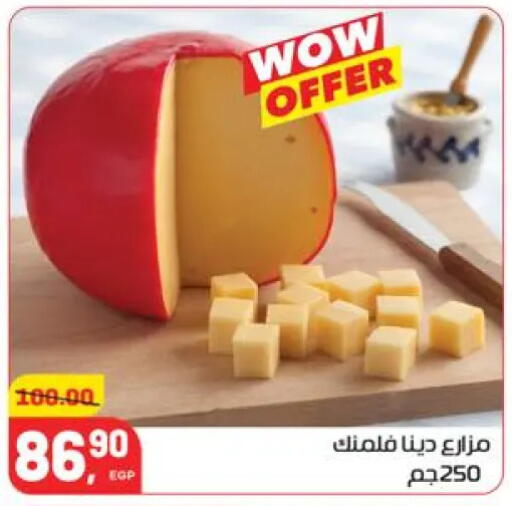 available at Hyper El Mansoura Shobra in Egypt - Cairo