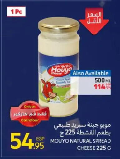 available at كارفور in Egypt - القاهرة