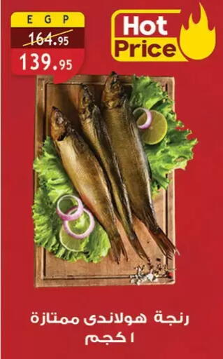 available at الرايه  ماركت in Egypt - القاهرة