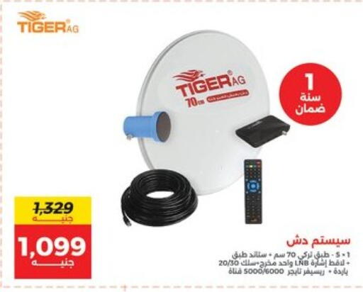 available at Raneen in Egypt - Cairo