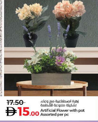 available at Lulu Hypermarket in UAE - Ras al Khaimah