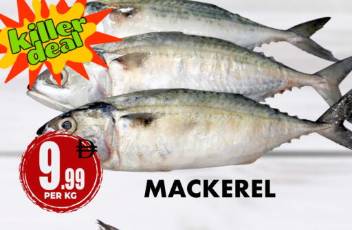 available at مركز الخصومات سنترو in الإمارات العربية المتحدة , الامارات - دبي