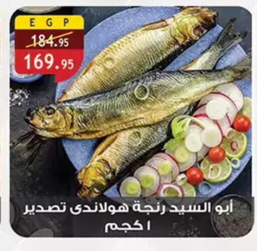 available at Al Rayah Market   in Egypt - Cairo