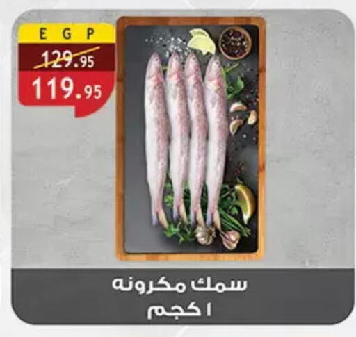 available at الرايه  ماركت in Egypt - القاهرة