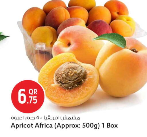 Apricot available at Safari Hypermarket in Qatar - Al Rayyan