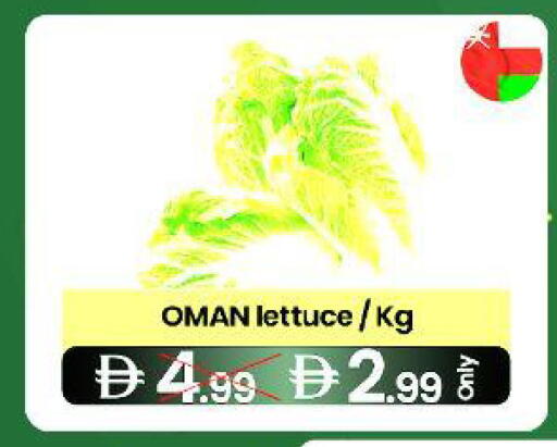 Lettuce from Oman available at  ELITE BASKET SUPERMARKET L.L.C. SP in UAE - Sharjah / Ajman