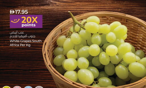 Grapes from South Africa available at Lulu Hypermarket in UAE - Ras al Khaimah