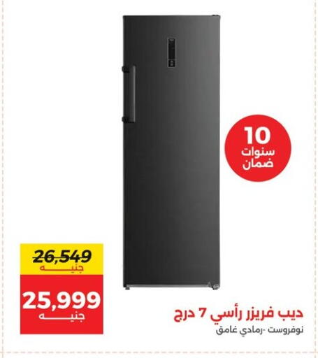 available at رنين in Egypt - القاهرة