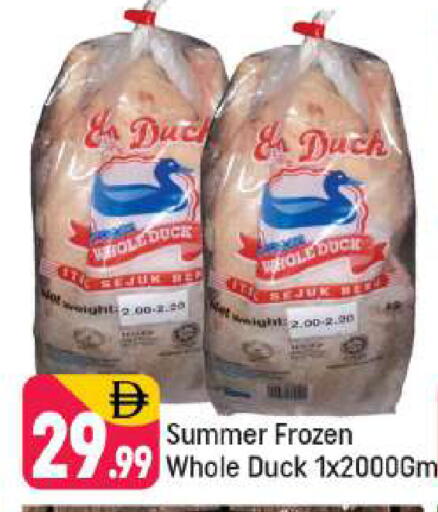 available at شكلان ماركت in الإمارات العربية المتحدة , الامارات - دبي