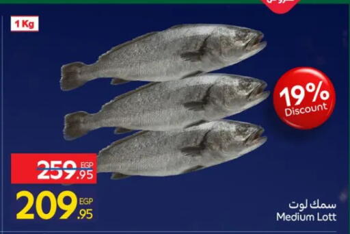 available at كارفور in Egypt - القاهرة