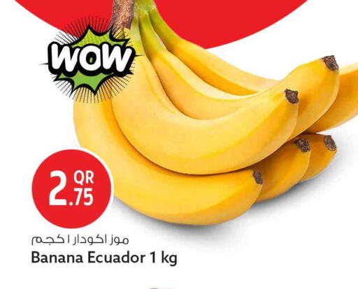 Banana from Ecuador available at Safari Hypermarket in Qatar - Al Rayyan